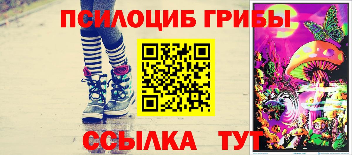 Галлюциногенные грибы мицелий Тимашёвск
