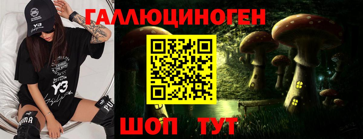 Псилоцибиновые грибы MAGIC MUSHROOMS  купить наркоту  Тимашёвск  Вход с VPN 